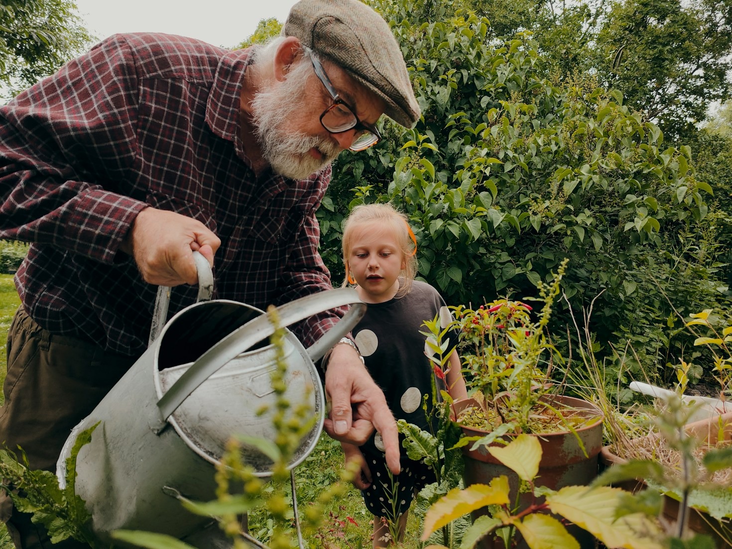 10 Organic Gardening Tips for Beginners