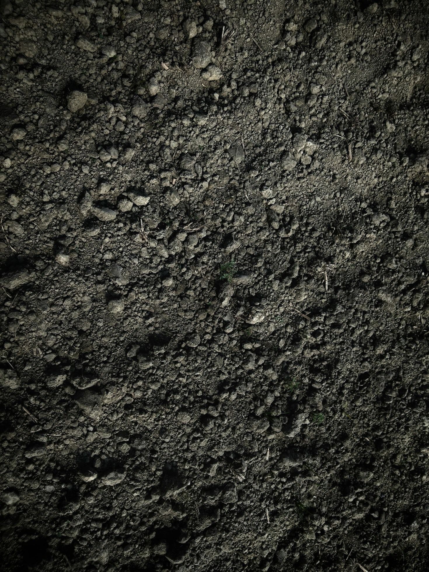 A Deep Dive into Organic Composting Methods